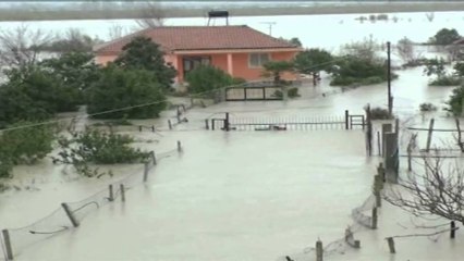 Përmbytjet në vend, MB: Ja situata në rrethe