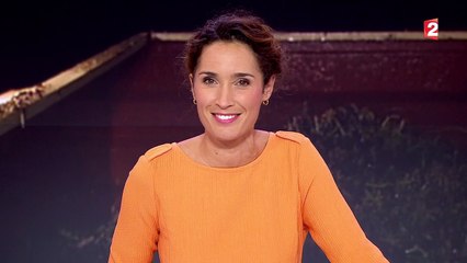 Des vendanges nocturnes pour tirer le meilleur du raisin