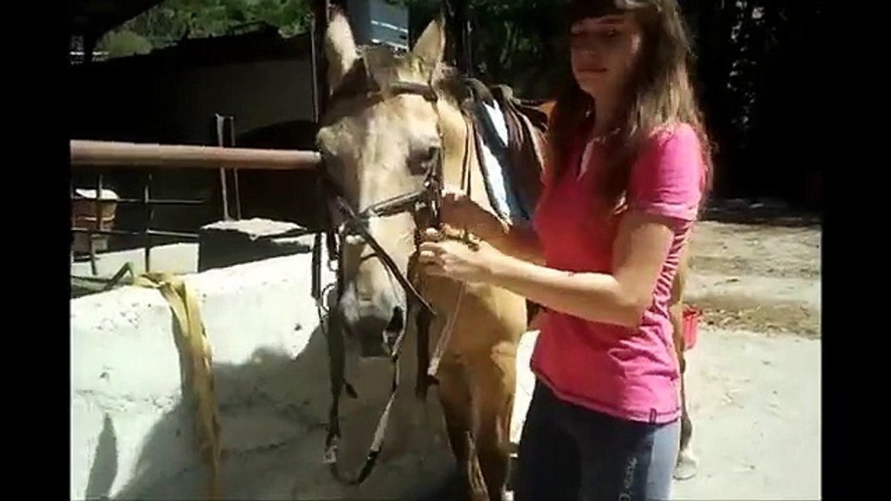 *TUTO* Mettre un filet avec muserolle croisée