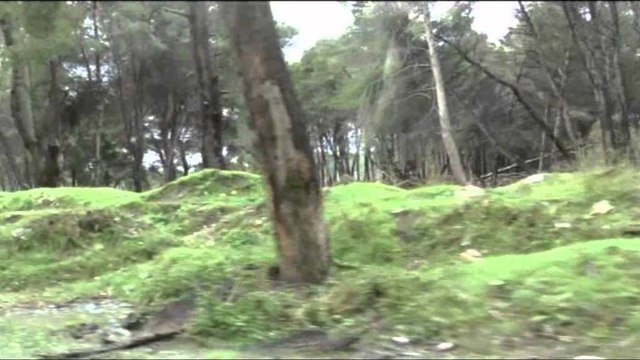 Vlorë, ARM vendos gjoba