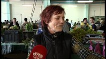 Vijojnë çmimet e larta të fruta-perimeve në tregjet e kryeqytetit