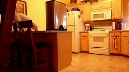 These sneaky snack-craving canines will do anything for a treat!