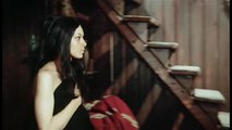 The Great Silence (1968) - Klaus Kinski - Trailer (Action, Western)