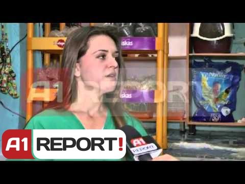 Qentë e rrugës, rrezik për banorët dhe burim sëmundjesh