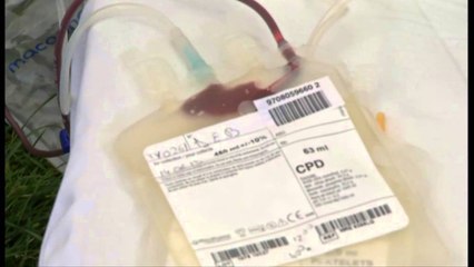 Dita botërore e dhurimit të gjakut