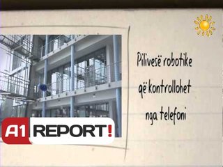 RREZE DIELLI TITUJT NGA KULTURA NE SHTYPIN E DITES 02 07 2013
