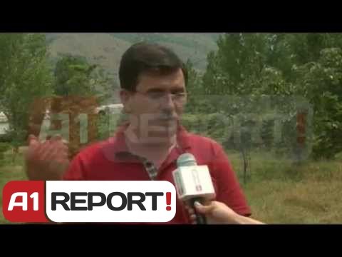 Korçë, gjuetia e paligjshme masakron kafshët e egra