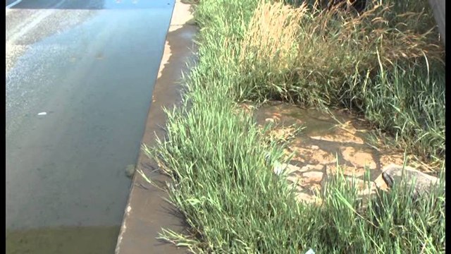 Durrës, Task Forca fillon pastrimin e bregdetit