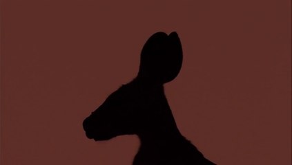 70 Derece Sıcakta Yaşam - Kangurular