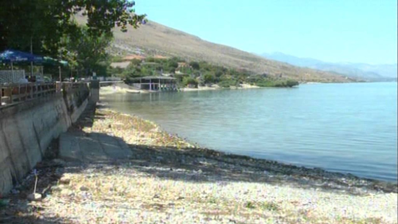 Shiroka harrohet nga pushuesit, pika turistike "pushtohet" nga kafshët e mbetjet