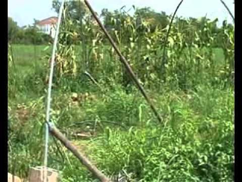 Drenoci i Tetovës i vërshuar nga ujërat e kanal...