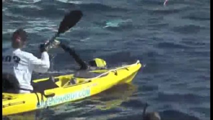 Nga Kuba në Florida, amerikania noton pa u mbrojtur nga peshkaqenët
