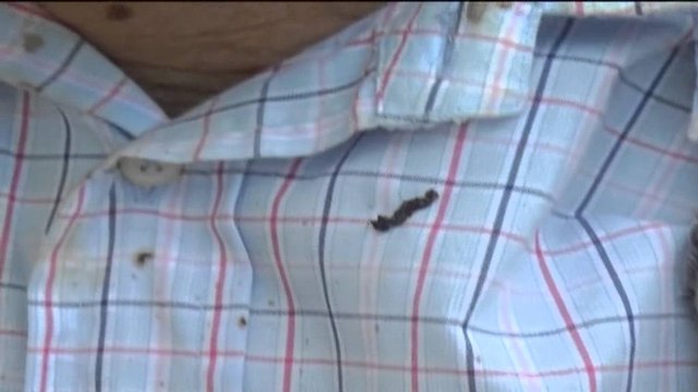 Grabitën çiftin e të moshuarve, policia e Vlorës arreston tre persona