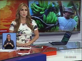 Exportaciones de banano a China podrían bajar