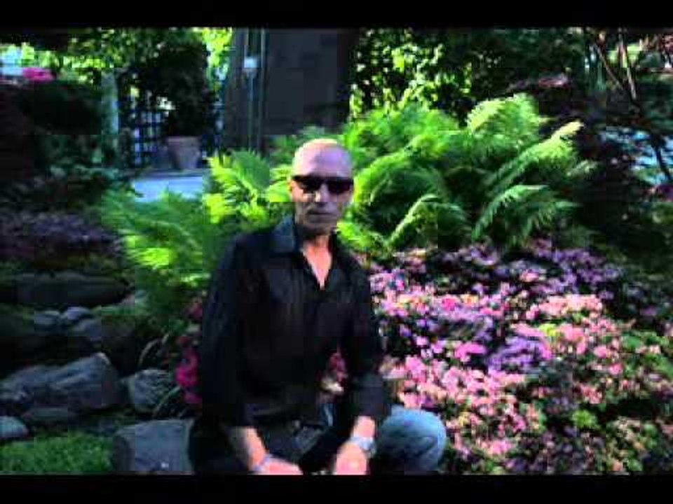 Sokol Jashari - Everybody