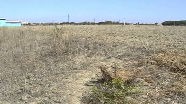 Rreziku nga ish-azotiku, banorët japin alarmin: S`ka masa mbrojtëse