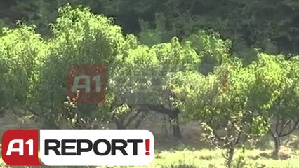 Dibër, projekt shqiptaro-maqedonas për fermerët e rinj në vend