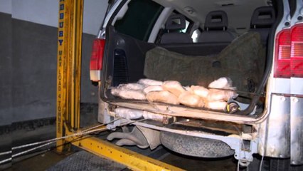 Kakavijë, sekuestrohen 41 kg marijuanë, në pranga 20-vjeçari nga Ballshi