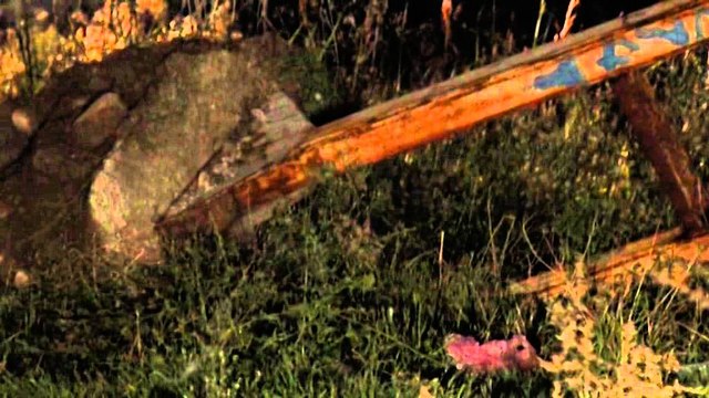 Aksioni - `pastrohet` autostrada: Hiqen posterat dhe reklamat, përgjatë Tiranë-Durrës