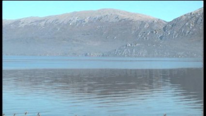 Pogradec, vazhdon peshkimi i paligjshëm. Alarm, rrezikon zhdukjen peshku i koranit