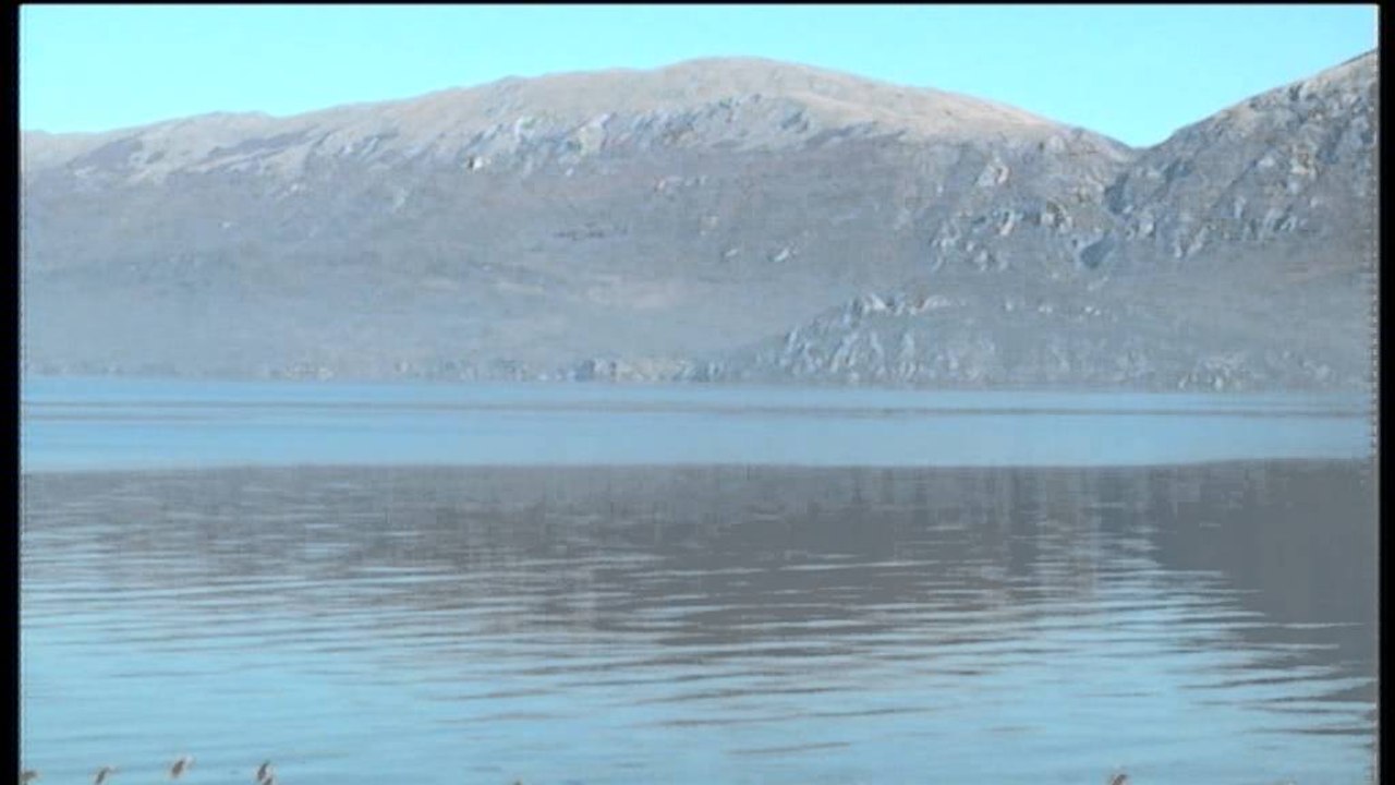 Pogradec, vazhdon peshkimi i paligjshëm. Alarm, rrezikon zhdukjen peshku i koranit