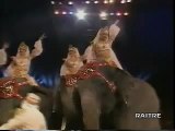 20° Festival du Cirque de MonteCarlo (1996)  Elefanti, Davio Casartelli (MEDRANO).mp4