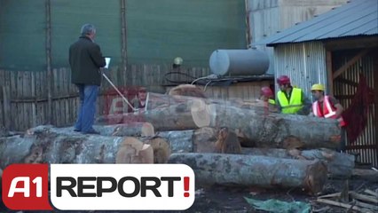 A1 Report - Mirditë, aksion kundër prerjes së pyjeve, postblloqe në mbarë vendin