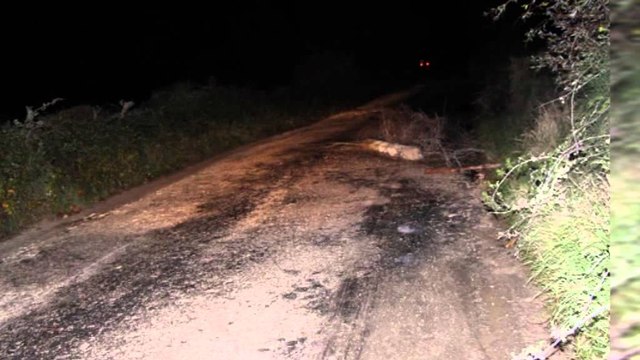 Kthehen maskat në Vlorë, grabiten dy persona dhe makina e tyre