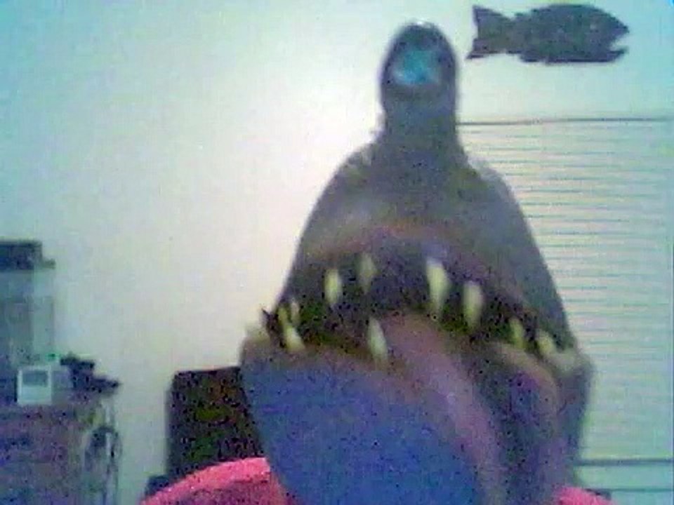 Itsy Bitsy Titty Monster