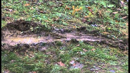 Ekspertiza dhe hetimet për Olldashin: