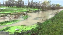 Përmbytje në Kurbin, bllokohen kanalet kullues, uji del mbi rrugë