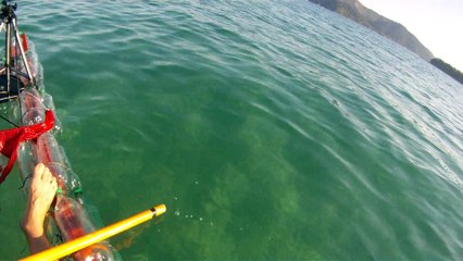 Ondas, mares, Ubatuba, SP, Brazil, Show dos reciclados
