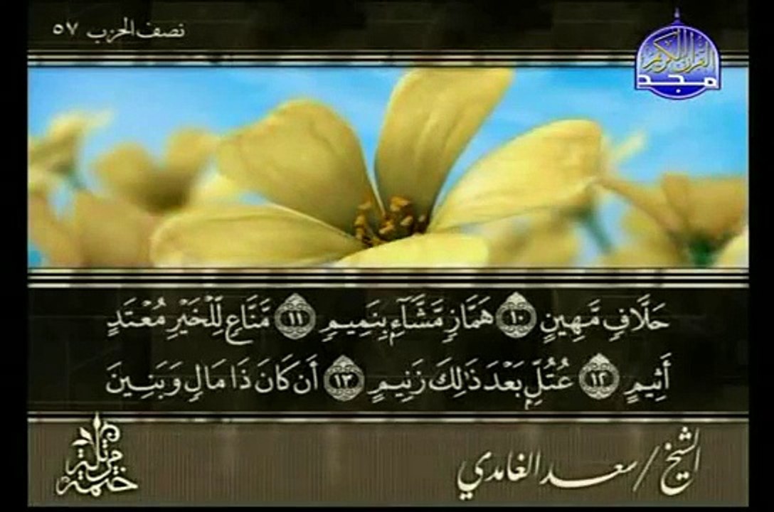 سوره القلم الشيخ سعد الغامدي Al Qalam