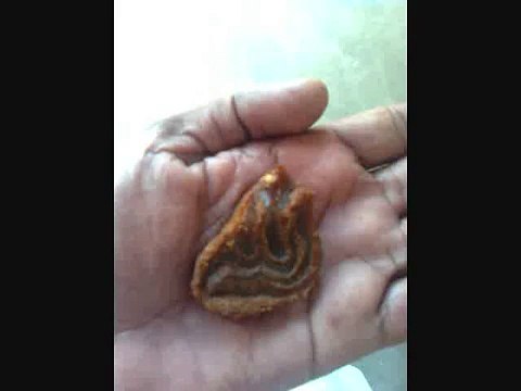 mojza Allah name on piece of mutton at staff quarters khairpur mirs