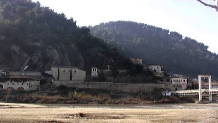 Shërbimi pyjor Berat, kalon kullotat në varësi të komunave