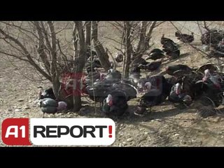 A1 Report - Aksi Lezhe-Shkoder "zaptohet" nga gjelat e detit, fermeret: S'ka blerje