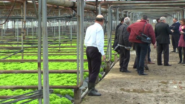 Panariti në Fier: Përmirësim i bilancit tregtar në fushën e Bujqësisë