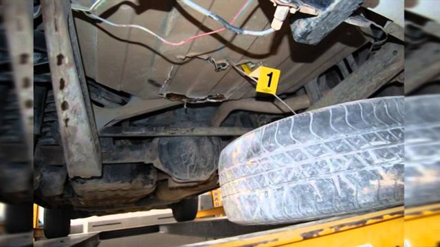 Sekuestrohen 16.4 kg kanabis në Portin e Durrësit, arrestohet transportuesi