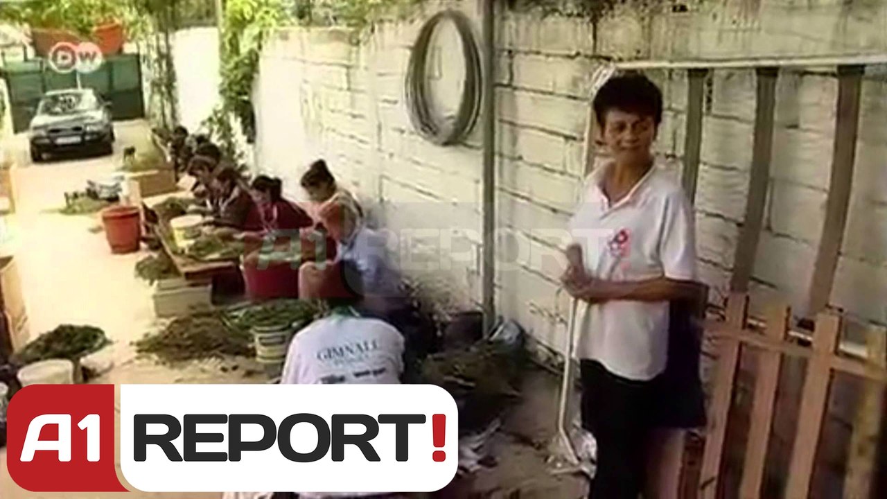 A1 Report - Reportazhi i DWelle/ Ne Lazarat fshati ku gjelberon kanabisi