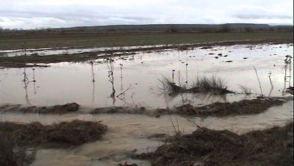 Situata e përmbytjeve në Lezhë e Shkodër.Emergjencat: Nën ujë janë 5800 hektarë