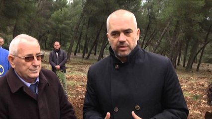 Rama mbjell pemë në Elbasan: Pyllëzimi, ndër prioritetet kryesore të qeverisë