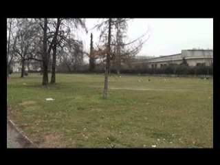 Tetova përballet me zhdukjen e hapësirave të gjelbra