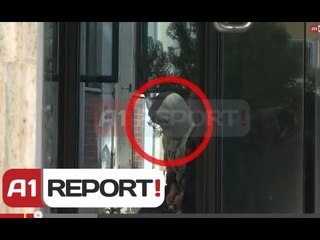 A1 Report - Dorezohet Andon Mehillaj: Nuk kam te bej me vrasjet e Sinanajt