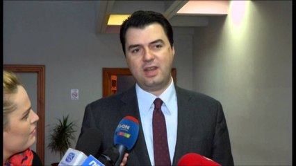 Protesta e 20 shkurtit, Basha takim me strukturat e PD-së