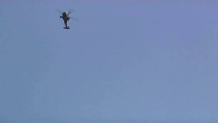 Lirohen te burgosurit ne Afganistan