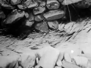 H2O. (1929). Ralph Steiner