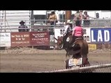 Monarch Gabe - Green Western Pleasure, Bishop Mule Days 2013