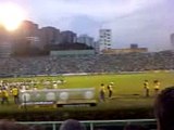 Palmeiras