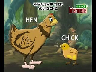 kids cartoon the sound Animals and their young ones sheep lamp, hen chiok