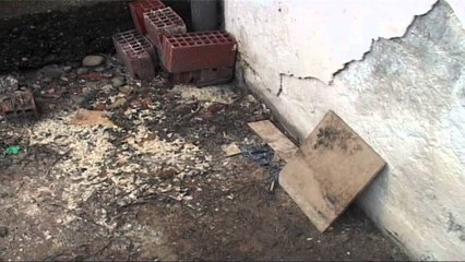Kuzhinat shtetërore dhe higjena, Vuksani: Kushtet e tyre nuk plotësojnë kriteret